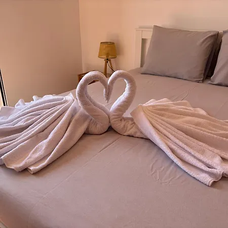 Oliveira's Porto Santo